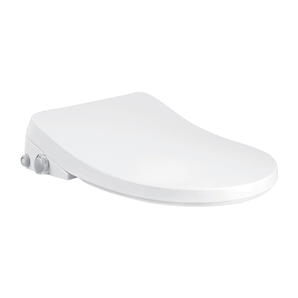Argent Retro Fit Washlet Seat